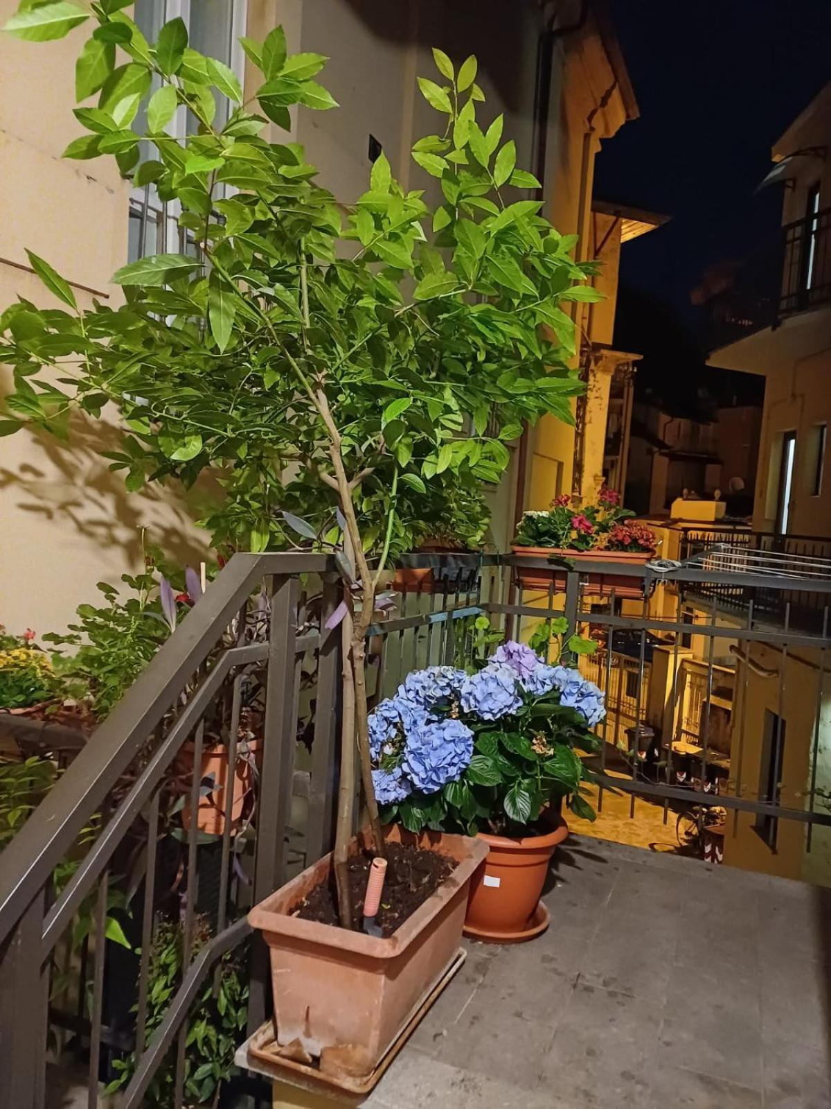 La Terrazzina, Silenzioso, Zona Piazza Gran Madre Apartment ตูริน ภายนอก รูปภาพ